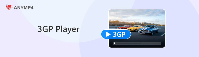 3GP Player