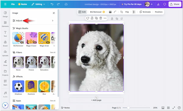 Access Adjust Option