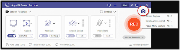 Access Screenshot Tools