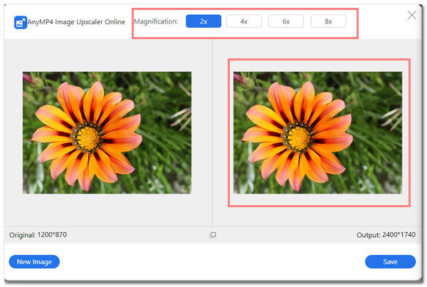 AnyMP4 Image Denoising Select Magnification