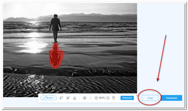 AnyMP4 Remove Shadows Select Crop