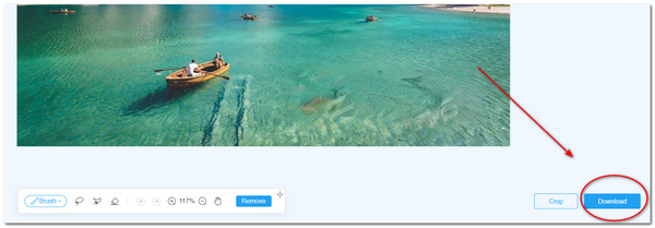 AnyMP4 Remove Watermark Select Download