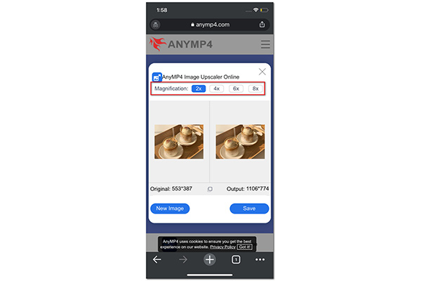 Anymp4 Resize Photo Select Magnification