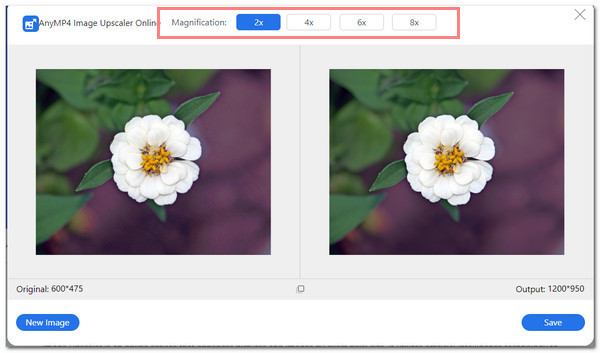 AnyMP4 Resize Picture for Twitter Select Magnification