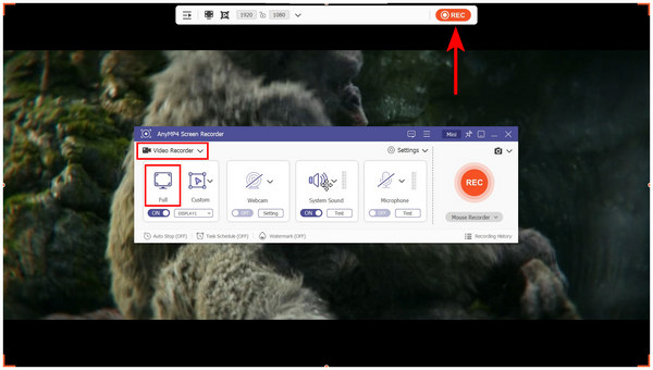 Anymp4 Screen Recorder Rec Setup