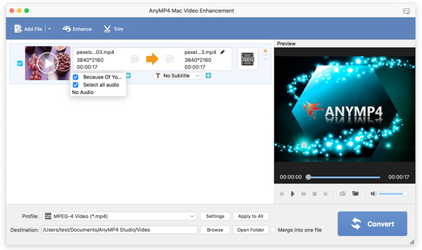 Backgound Audio Setting