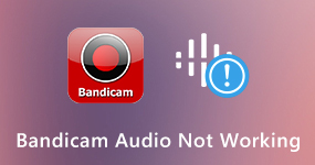 Bandicam audio not working