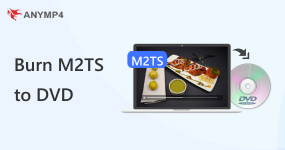 Burn M2TS to DVD