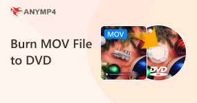 Burn MOV Files to DVD