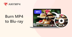 Burn MP4 to Blu-ray