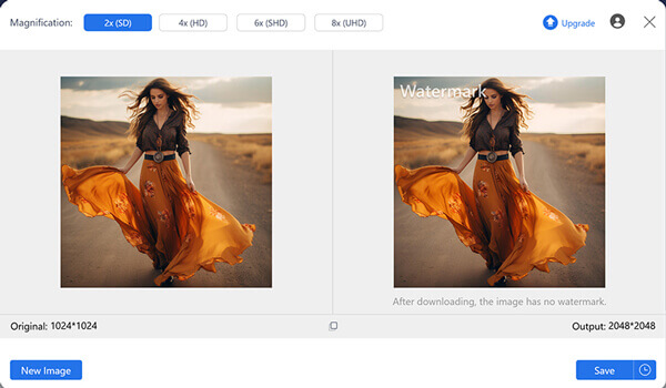 Choose Magnification