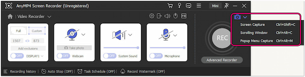 Choose Screenshot Option
