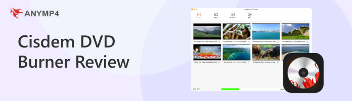 Cisdem DVD Burner Review