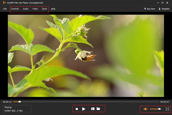 Control Mkv Playback