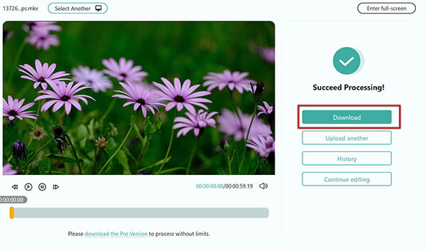 Convert Mkv To Mp4 Online