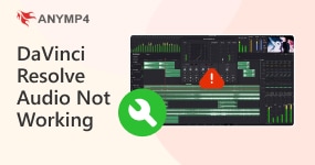 DaVinci Resolve Audio Not Working