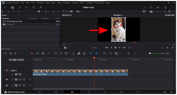 Davinci Resolve Crop Marker