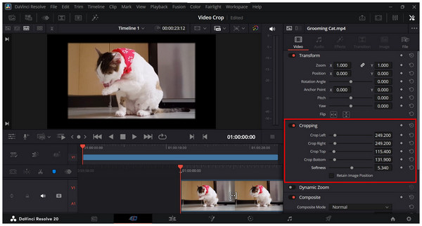Davinci Resolve Cropping Tools