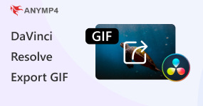 DaVinci Resolve Export GIF