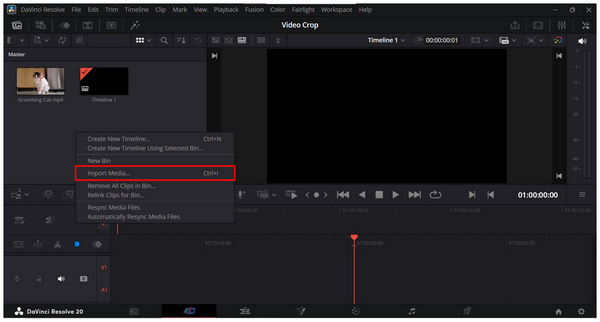 Davinci Resolve Import Media
