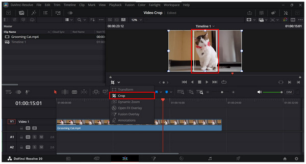 Davinci Resolve Marker Crop