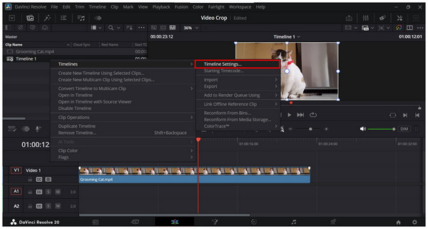Davinci Resolve Timeline Settings