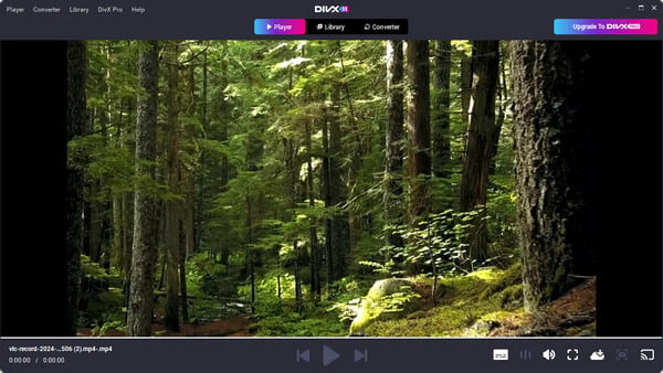 Divx Player Interface