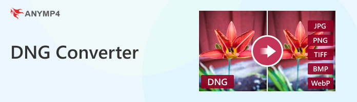 DNG Converter