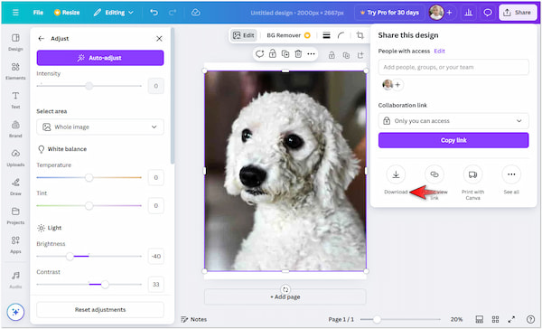Download Enhanced Image