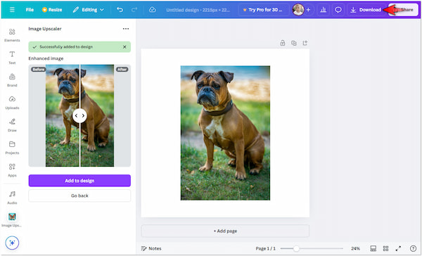 Download Upscaled Image