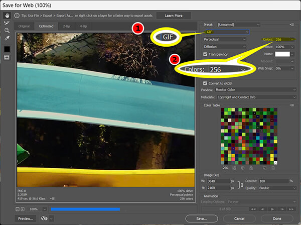 Export Gif Settings In Photoshop