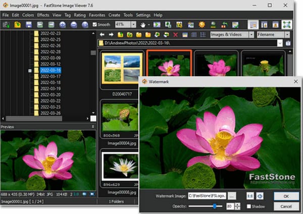 Faststone Image Viewer Interface