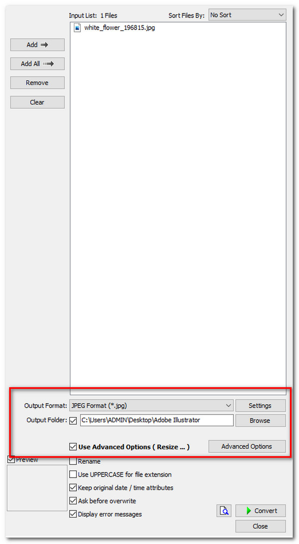 FastStone Output Format Advanced Options