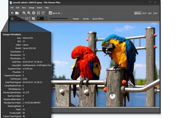 File Viewer Plus Interface