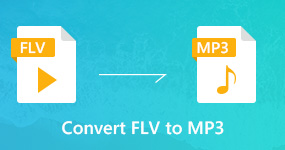 MP3 from FLV