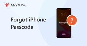 forgot iPhone iPad passcode