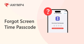 Forgot Screen Time Passcode