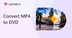 How To Convert Mp4 To Dvd