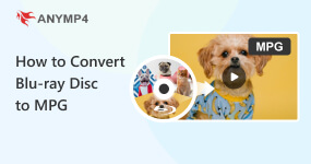 How to Rip Blu-ray Disc to MPG