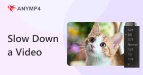 How to Slow Down A Video