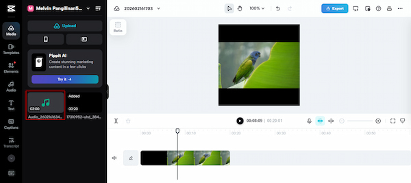 Import Audio In Capcut