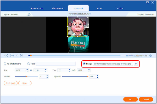 Import Face Image as Watermark