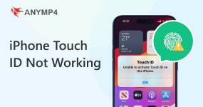 Phone Touch ID not working