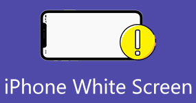 iPhone White Screen