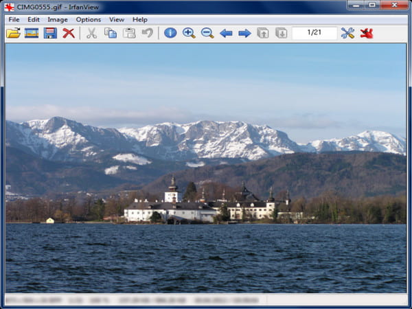 Irfanview Gif Player Interface