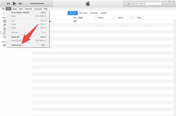 iTunes Preference Option
