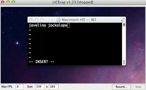 Licecap Top Gif Screen Recorder