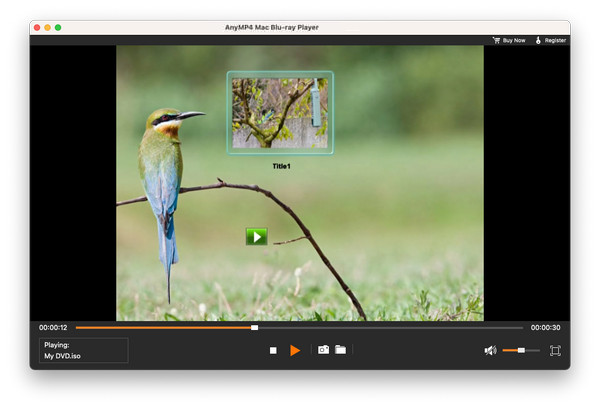 Mac Blu Ray Play DVD