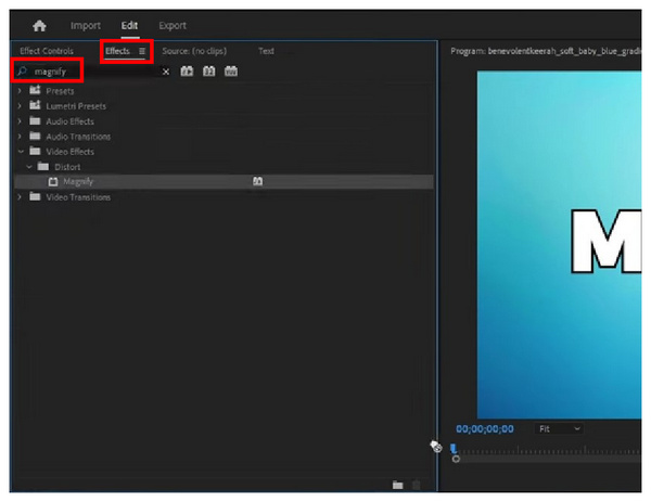 Magnify Effect Search