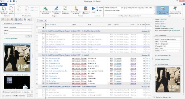 Metatogger Interfaced